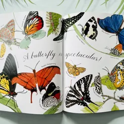 A Butterfly Is Patient – Dianna Hutts Aston & Sylvia Long 690108