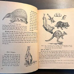 📖 Đời sống các loài thú (xb 1972) 565178