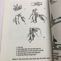 CẨM NANG BON SAI 447858