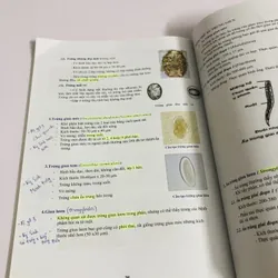 THỰC TẬP VI SINH Y HỌC  675339