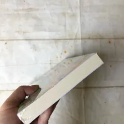 Tây Sơn Phụng Thần Ký - Thành Châu (tiểu thuyết dã sử) 749042