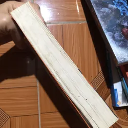 Con Hủi - Helena Mniszek - Văn học kinh điển 713927