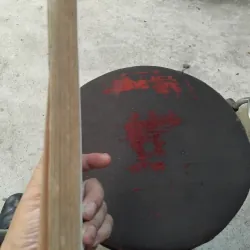 Nguyễn Trãi nhà văn học và chính trị thiên tài  1020307