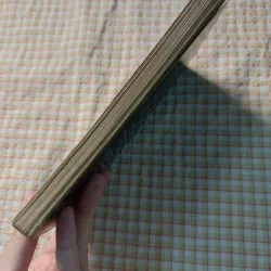 VUA HÀM NGHI - HẢI ÂU 713716