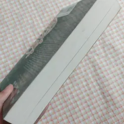 THE PRE-RAPHAELITES AND THEIR CIRCLE - Cecil Y. Lang 961648