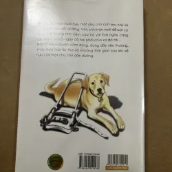 My Eye Saya Miyauchi 999098