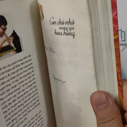 Con Chó Nhỏ Mang Giỏ Hoa Hồng - Nguyễn Nhật Ánh 798348