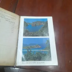 Kiến Thức NHIẾP ẢNH 565304
