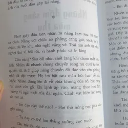 Giấc Mơ Hoa Súng Tím 736830