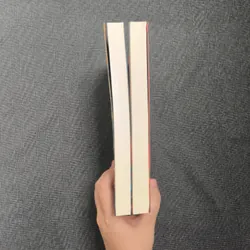 Bạch Nhật Đề Đăng (Full 2 tập) - Lê Thanh Nhiên - Giá bìa 396k 714290