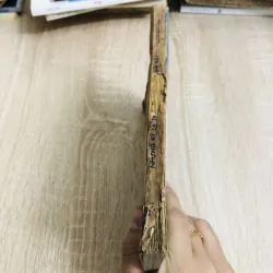 NHỮNG KỲ LẠ TRONG THẾ GIỚI SINH VẬT 928999