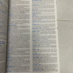 LONGMAN Búiness 573345