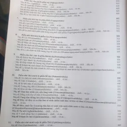 Siêu Lý Tiểu Học 717692