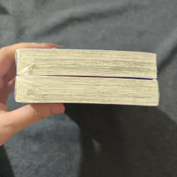 Ranma 1/2 (Bản Deluxe) - Tập 18 19 (Seal) 754586