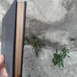 Sứ mệnh văn nghệ của Nguyễn Nam Châu 1026176