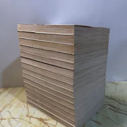 Noblesse thiếu 3t  762107