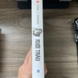 Ruồi Trâu (bìa cứng) 737888