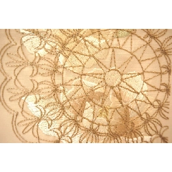 Áo cổ thêu - Hàng hiệu Authentic 875993