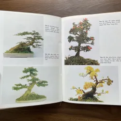 Bonsai 🌿🌿 961565