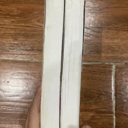 Phi Long Diễn Nghĩa full bộ 2 tập - Trương Minh Chánh (5) 740389