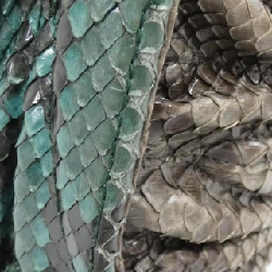 Miu Miu 5BA136 Túi - Hàng hiệu Chính hãng 805076