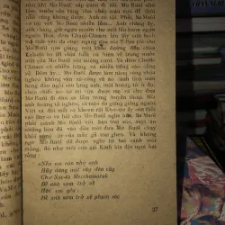 Cây sầu đâu sinh đôi - Trúc Phương  976169