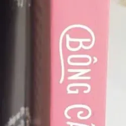 Bông Cẩm Tú Cầu - Khương Teddy 707823