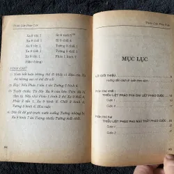 Thiếu Liệt Pháo Phá Đại Liệt Pháo Cuộc- Chu Tấn Trinh. 1045988