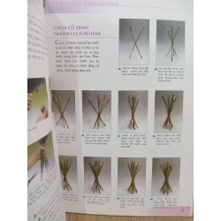 Nghệ thuật gói hoa tươi - Thiên Kim 536805