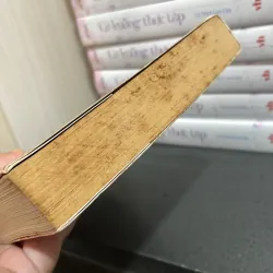 (Ngôn tình) - Hoa hồng đêm - Thái Trí Hằng  990161