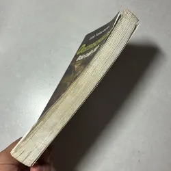 Oosterschelde Bão cấp 10 - Jan Terlouw 796348