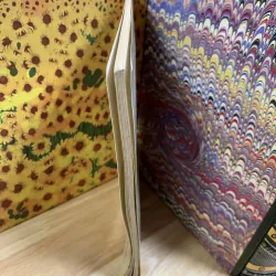 Cát Trắng - Nguyễn Duy 751750