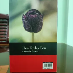 Hoa Tuylip Đen 558250
