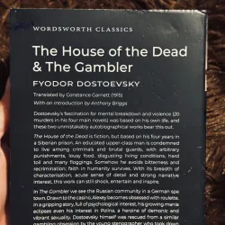 The house of the dead & the gambler  997952
