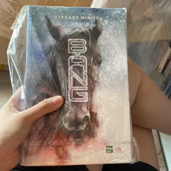 Băng Bernard Minier