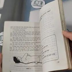 Phương Pháp Bấm Huyệt Chữa Bệnh - Phùng Lực Sinh 727233