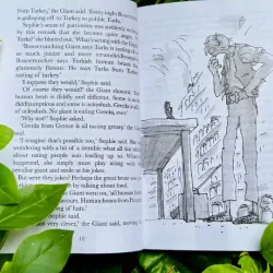 Sách - Roald Dahl 24 quyển có file mp3 full boxset tặng audio + film 1024190