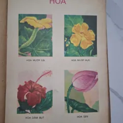 Từ điển học sinh - NXB Giáo dục 1972 - Từ điển học tập - tranh in màu 1006538