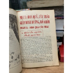 Hoa quả món ăn thay thuốc tập 1 -Nguyễn Văn Hoàn 751058