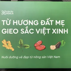 SET QUÀ 8/3 COMBO DẦU GỘI XẢ THẢO DƯỢC GỪNG SẢ CỎ CÂY HOA LÁ 500G (Date T10/2027) 934671