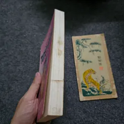 Tuyết lạnh 734008