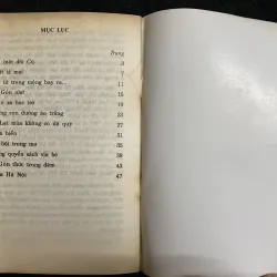 Đường Phượng Bay 997012