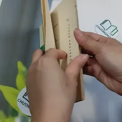 [XƯA] Để Tổ Chức Một Đám Cưới (1994) - Quỳnh Hương 776164