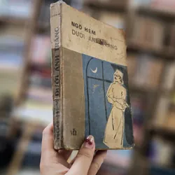 Tiểu thuyết "Ngõ hẻm dưới ánh trăng", Stefan Zweig 705073