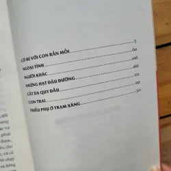 Những cuộc chạy trốn tình yêu - Bernhard Schlink 1002022