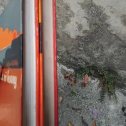 Đất vỡ hoang của Mikhail Solokhov 1031382