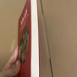 Ý nghãi của sự điên loạn - Neel Burton 729044