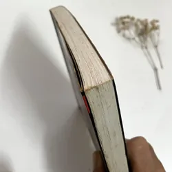 Bỉ vỏ – Nguyên Hồng   674593