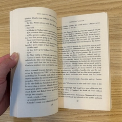 The God of Small Things (Chúa Trời của những điều vụn vặt) - Arundhati Roy (MỚI) 391299
