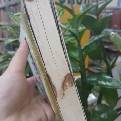THỜI XA VẮNG - LÊ LỰU 1033457